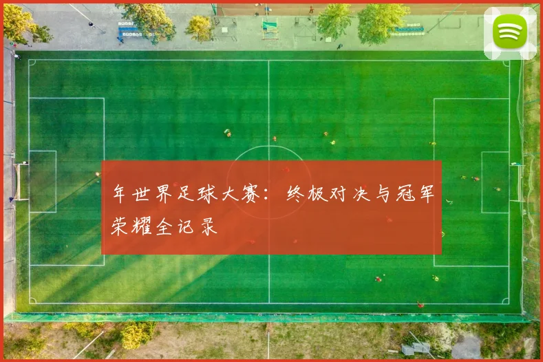 年世界足球大赛：终极对决与冠军荣耀全记录