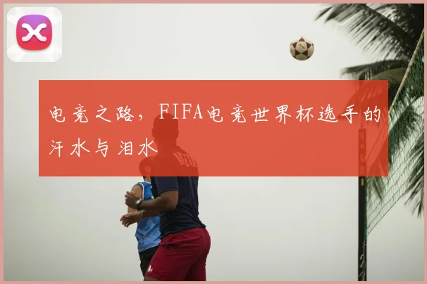 电竞之路，FIFA电竞世界杯选手的汗水与泪水